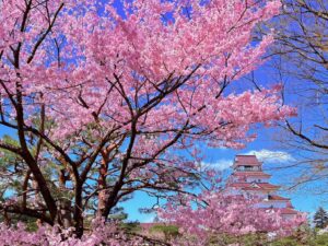 コンビニ派遣・セブンイレブン専門派遣・ミニストップ専門派遣・人材派遣「スマイリング派遣」・人材紹介/転職エージェント「キャリサポ」・採用ページとは・採用拠点とは　福島・鶴ヶ城