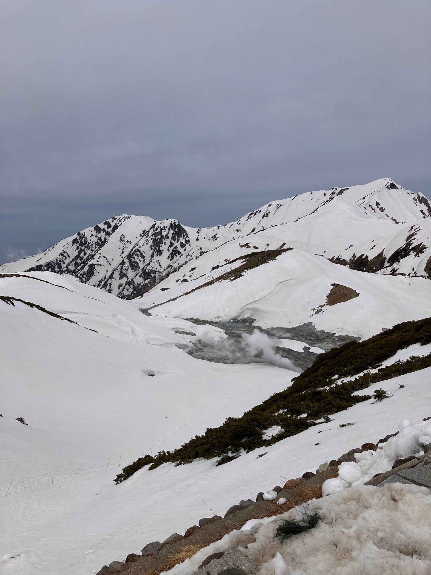 今年のアルペンルート開通を祝し、雪の大谷を訪ねました。