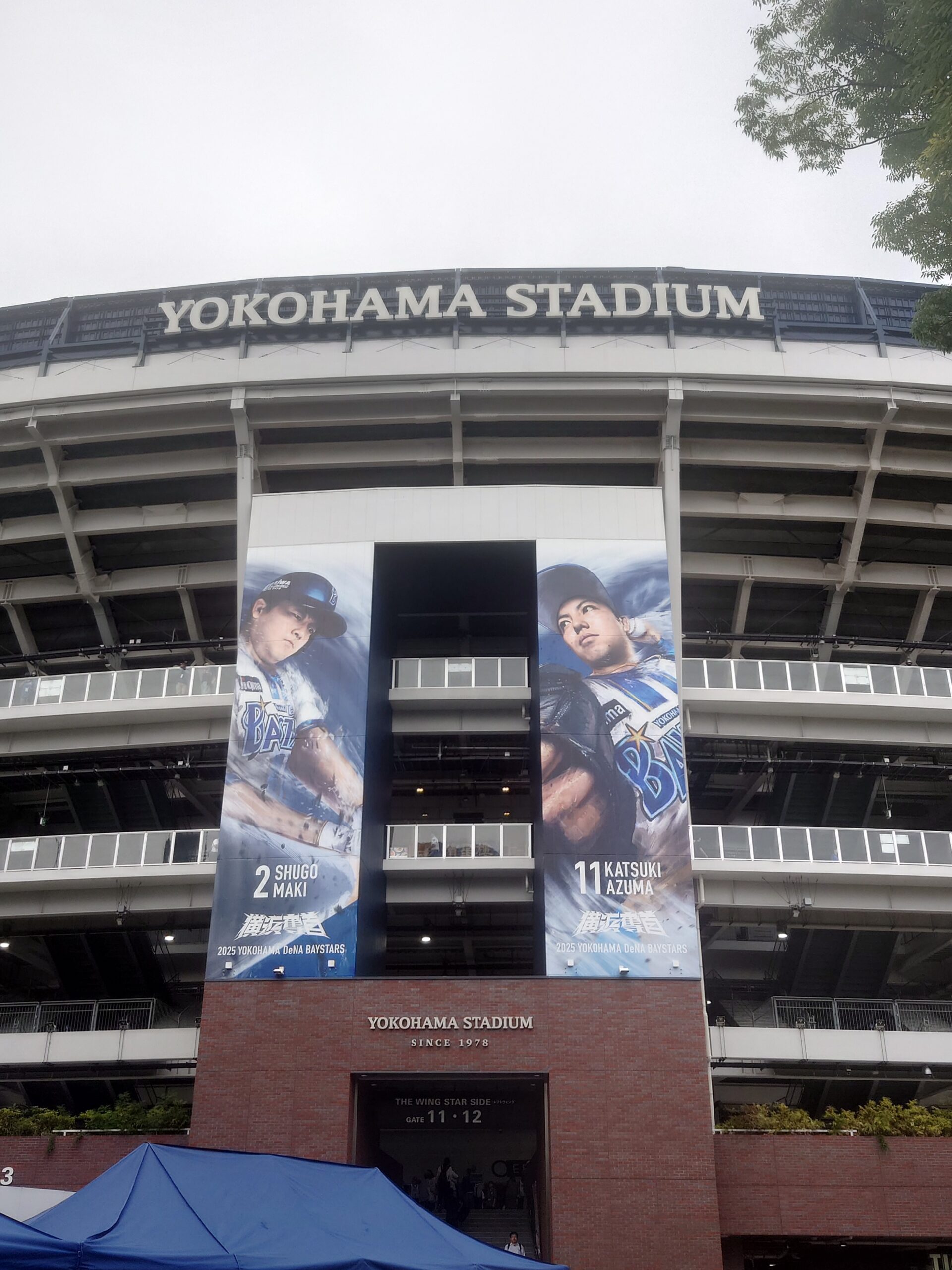 １年ぶりに横浜スタジアムに行きました！