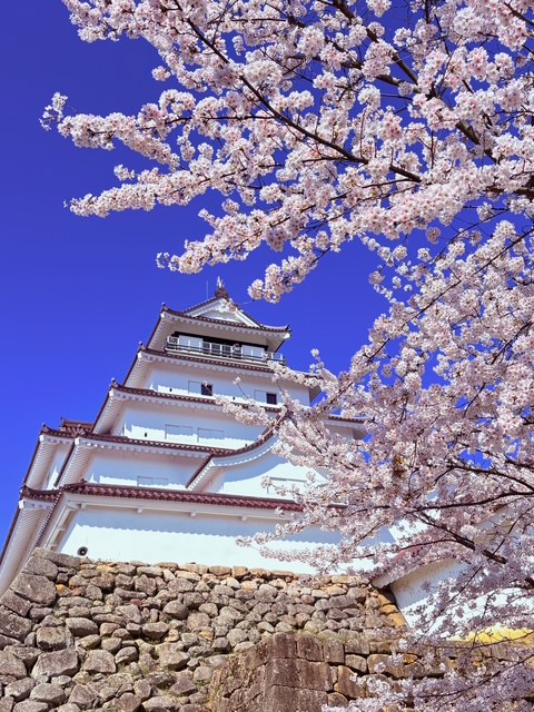 鶴ヶ城を包む、会津の春日和